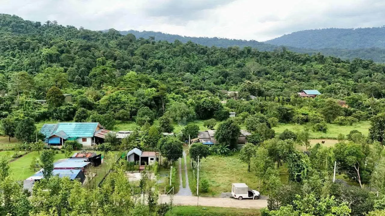 ขายด่วนที่ดินแปลงสวยวิวเขาชัดๆ พื้นที่ 100 ตรว. ราคาเพียง 9.5 แสน เท่านั้น ภาพที่ 1