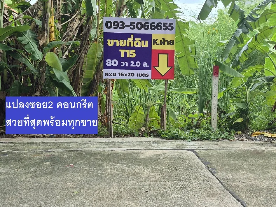 ขายที่ดินแปลงจัดสรร 80 ตารางวา ซอย 2 คอนกรีตของทำเลนี้ หน้ากว้าง 16 เมตร ลึก 20 เมตร น้ำ ไฟ ถนนครบ ภาพที่ 1