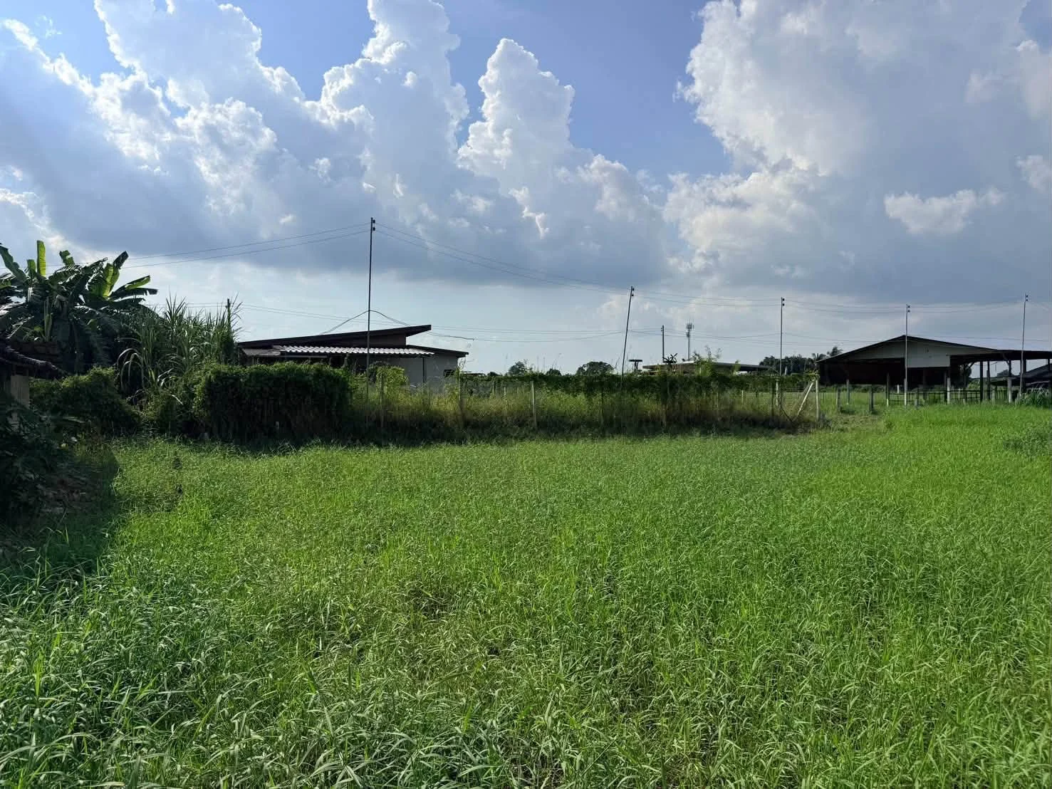 ขายด่วนที่ดิน 182 ตรว เหมาะสร้างบ้านสวน ต.สวนป่าน อ.เมืองนครปฐม จ.นครปฐม ภาพที่ 2