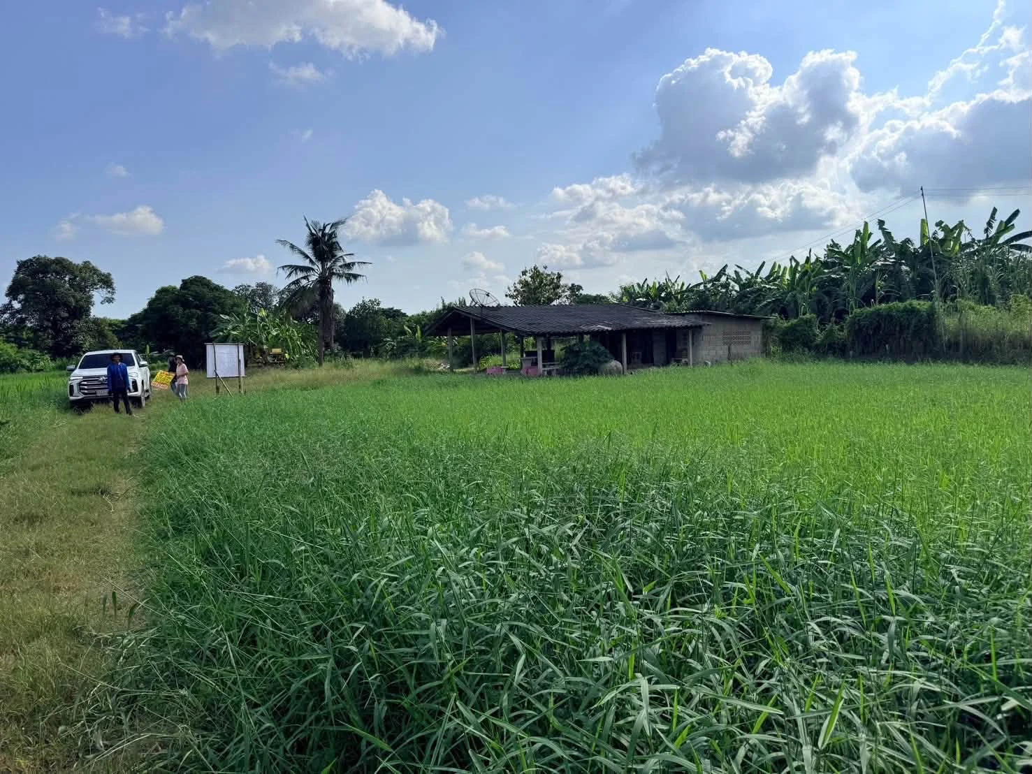 ขายด่วนที่ดิน 182 ตรว เหมาะสร้างบ้านสวน ต.สวนป่าน อ.เมืองนครปฐม จ.นครปฐม ภาพที่ 3