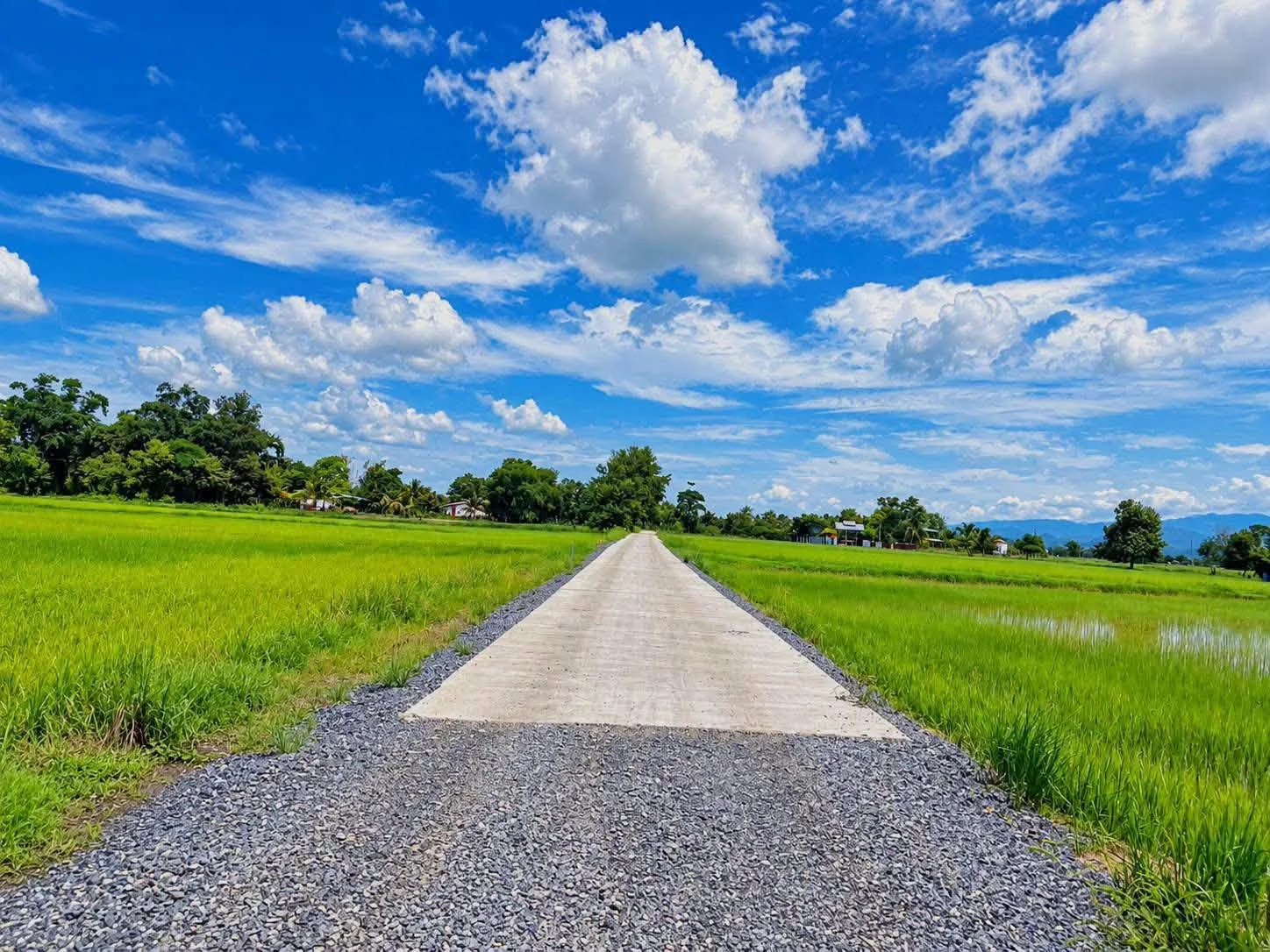 ขายด่วน ที่ดินศรีนาวา แปลงสวย วิวภูเขา ราคาน่ารักมาก 118 ตร.ว. เพียง 390,000 บาทเท่านั้น! ภาพที่ 4