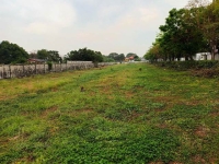 ขายที่ดินทำลสุขาภิบาล 5 ซอย82