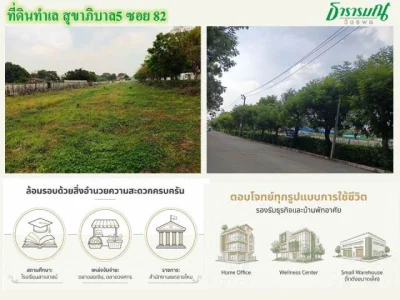 ขายที่ดินทำลสุขาภิบาล 5 ซอย82