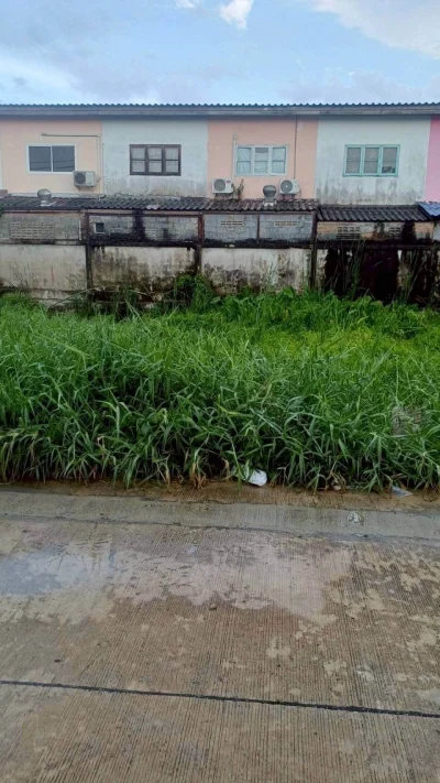 ขายถูกที่ดินลำลูกกา 34 ตรว ติดถนนคอนกรีตสาธารณะ ซ.เมตตา ต.บึงคำพร้อย จ.ปทุมธานี