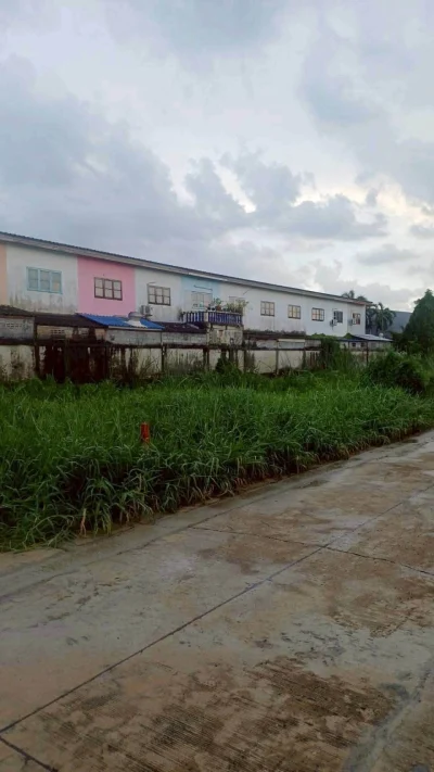 ขายถูกที่ดินลำลูกกา 34 ตรว ติดถนนคอนกรีตสาธารณะ ซ.เมตตา ต.บึงคำพร้อย จ.ปทุมธานี