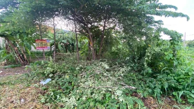 ขายถูกที่ดินต่ำกว่าราคาประเมิน 128 ตรว ติดถนนคอนกรีต 2 ด้าน ถมแล้ว ซ.ปลาหมึก, ซอยบัวทองแลนด์ บางบัวทอง นนทบุรี