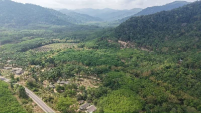ขายที่ดิน แปลงสวย 100ไร่ คิดลำธารธรรมชาติ 1กิโล