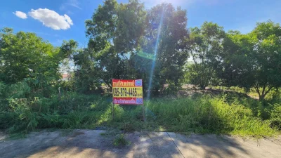 ขายด่วนที่ดินเลียบคลองโต๊ะใหม่ 600 ตรว ถมแล้ว ต.บางคูรัด อ.บางบัวทอง จ.นนทบุรี