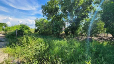 ขายด่วนที่ดินเลียบคลองโต๊ะใหม่ 600 ตรว ถมแล้ว ต.บางคูรัด อ.บางบัวทอง จ.นนทบุรี