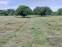 ทำเลทอง อ.พาน 5 ไร่กว่า????