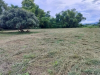 ทำเลทอง อ.พาน 5 ไร่กว่า????