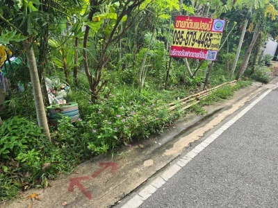 ขายด่วนที่ดิน 52 ตรว ติดถนนลาดยางสาธารณะ ถมแล้ว ต.บางคูรัด อ.บางบัวทอง จ.นนทบุรี