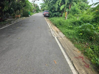 ขายด่วนที่ดิน 52 ตรว ติดถนนลาดยางสาธารณะ ถมแล้ว ต.บางคูรัด อ.บางบัวทอง จ.นนทบุรี