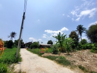 ขายด่วนๆ ที่ดินพุทธมณฑล 150 ตารางวา ติดถนนคอนกรีต  ซอย ทวีวัฒนา-กาญจนาภิเษก 17 เขตทวีวัฒนา กทม.