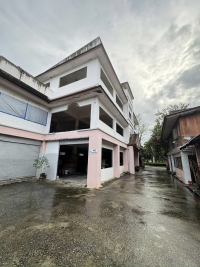 อาคาร ต.พระสิงห์ 246 ตรว. เช่าปีละ1.2ล้านขาย 65 ล้าน  ประกัน 500,000 บาท ทุก3ปีรับขึ้น 15% สนใจติดต่อโทน 0903179683