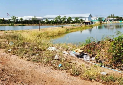 ขายที่ดิน 83 ไร่ ดอนหอยหลอด ตำบลบางจะเกร็ง อำเภอเมือง สมุทรสงคราม