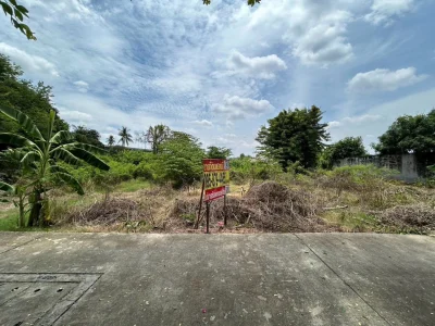 ขายด่วนที่ดินฉิมพลี 403 ตรว ติดถนนคอนกรีต ถมแล้ว ซ.ฉิมพลี 8 ตลิ่งชัน กรุงเทพฯ