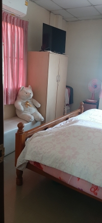 ขายบ้านสันป่าตอง 40 ตรว ราคา 1 ล้าน