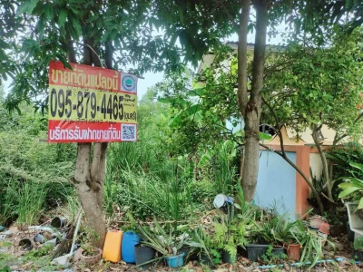 ขายด่วนที่ดิน 55 ตรว ติดถนนสาธารณะ ซ.จรูญสอนดี คลองสองต้นนุ่ม เขตลาดกระบัง กทม.