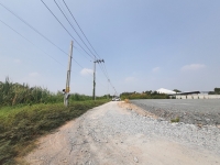 ขายที่ดินแสมดำ 676 ตร.ว ติดถนนสาธารณะ ซ.เทียนทะเล 28  เขตบางขุนเทียน กทม