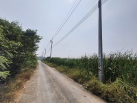 ขายที่ดินแสมดำ 676 ตร.ว ติดถนนสาธารณะ ซ.เทียนทะเล 28  เขตบางขุนเทียน กทม