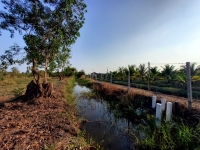 ขายถูก ที่ดินคลอง 13 ใกล้วัดพิชิตปิตยาราม 8 ไร่ หน้ากว้าง 139 ม./แนวถนนกว้าง 8 ม. อ.ธัญบุรี จ.ปทุมธานี