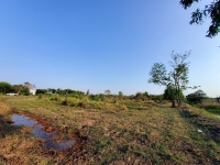 ขายถูก ที่ดินคลอง 13 ใกล้วัดพิชิตปิตยาราม 8 ไร่ หน้ากว้าง 139 ม./แนวถนนกว้าง 8 ม. อ.ธัญบุรี จ.ปทุมธานี