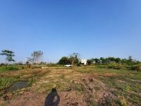 ขายถูก ที่ดินคลอง 13 ใกล้วัดพิชิตปิตยาราม 8 ไร่ หน้ากว้าง 139 ม./แนวถนนกว้าง 8 ม. อ.ธัญบุรี จ.ปทุมธานี