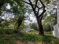 ให้เช่าที่ดิน 85 ตรว หลังการไฟฟ้าหนองหอยเดือนละ7,000บาท