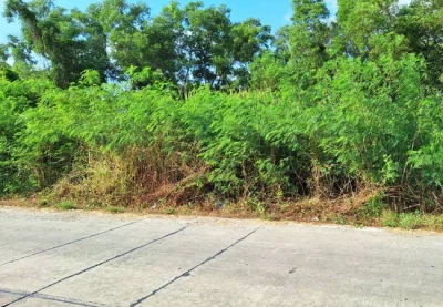 ขายที่ดิน 1 ไร่ คลอง 4 ซอยคลองสี่ตะวันออก 18 อำเภอคลองหลวง ปทุมธานี
