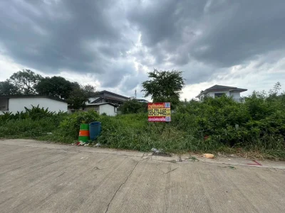 ขายด่วนที่ดินผังม่วง 101 ตรว ติดถนนคอนกรีต ถมแล้ว ซ.นวนทอง 23 กระทุ่มแบน สมุทรสาคร