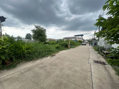 ขายด่วนที่ดินผังม่วง 101 ตรว ติดถนนคอนกรีต ถมแล้ว ซ.นวนทอง 23 กระทุ่มแบน สมุทรสาคร