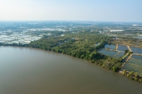 ขายที่ดินถมแล้ว ติดแม่น้ำบางปะกง เนื้อที่ 18 ไร่ 2 งาน 39 ตารางวา ตั้งอยู่ที่ ต.บางกรูด อ.บ้านโพธิ์ จ.ฉะเชิงเทรา