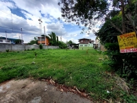 ขายที่ดินบางศรีเมือง 156 ตารางวา ถมแล้วทั้งแปล ซอยหมู่บ้านเฉลิมพระเกียรติ เมืองนนทบุรี