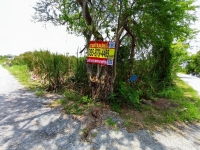 ขายที่ดินคลองโยง 199 ตารางวา แปลงมุม ติดถนนลาดยางสาธารณะซอย หมู่บ้านสมพงษ์ อ.พุทธมณฑล จ.นครปฐม