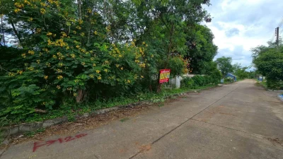 ขายด่วนที่ดินใกล้ตลาดสดมหาชัยเมืองใหม่ 80 ตรว ติดถนนคอนกรีต ถมแล้ว คอกกระบือ เมืองสมุทรสาคร