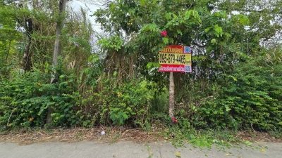ขายด่วนที่ดินศรีด่าน 100 ตรว ติดถนนคอนกรีตสาธารณะ ซ.พัฒนาชุมชน 29 บางพลี สมุทรปราการ
