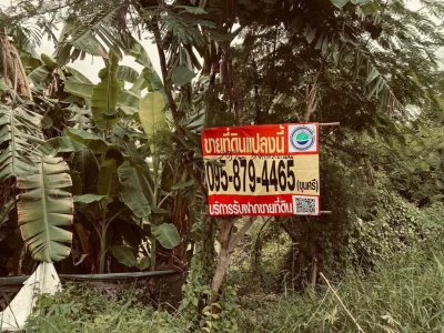 ขายถูกต่ำกว่าประเมิน 292 ตรว ติดถนนสาธารณะ คลอง 13 ฝั่งตะวันตก หนองจอก กทม.