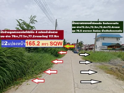 ขายที่ดินจัดสรรหมู่บ้านลานทอง ปากเกร็ด 117.9 วา ซอยลานทอง 36/1 ใกล้ฝั่งถ.เมนซอย 18 สวยที่สุดตอนนี้ ทิศใต้ ด่วน