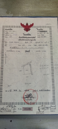 ขายที่ดินติดถนนลาดยาง