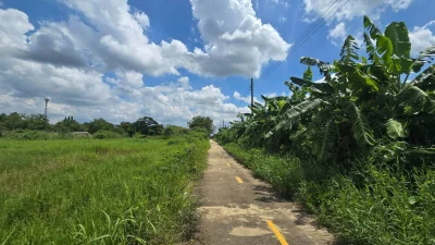 ขายด่วนที่ดิน 1 ไร่ ติดถนนคอนกรีต ซอย เคหะการเกษตร 49 บางบัวทอง นนทบุรี