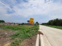 ขายด่วน ที่ดินใกล้ตลาดไท 3 ไร่เศษ ติดถนนคอนกรีตสาธารณะ แนวถนนกว้าง 8 ม. ซอย ไอยรา 38 อ.คลองหลวง จ.ปทุมธานี