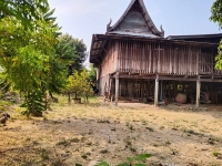 ขายที่ดิน 320 ตรว. ต.ท่าพี่เลี้ยง อ.เมือง จ.สุพรรณบุรี มีบ้านไม้ 2หลัง น้ำไฟสะดวก โทร 081-7957267