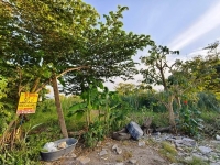 ขายถูก ที่ดินจันทร์ทองเอี่ยม 61 ตร.ว ใกล้สถานีรถไฟฟ้าMRTคลองบางไผ่ ซอย บุญรอด อ.บางบัวทอง จ.นนทบุรี