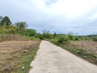 ขายที่ดินเปล่า ยางค้อม อ.พิปูน