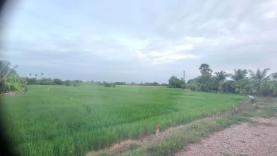 ขายด่วนที่ดิน 680 ตรว ติดถนนสาธารณะ 2 ด้าน แปลงมุม บ้านงิ้ว สามโคก ปทุมธานี