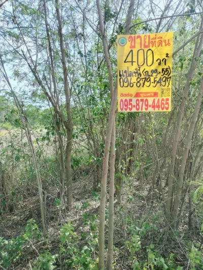 ขายถูกที่ดิน 1 ไร่ ติดถนนสาธารณะ2ด้าน คลอง 12 หนองเสือ ปทุมธานี