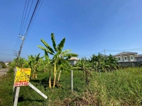 ขายต่ำกว่าประเมิน ที่ดินหมู่บ้านปาริชาต 76 ตรว ถมแล้วทั้งแปลง โซน A62/1 ถนน 345 อ.เมืองปทุมธานี จ.ปทุมธานี