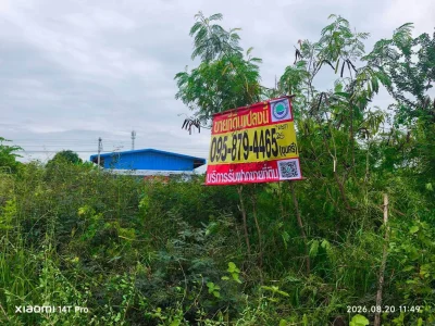 ขายด่วนที่ดิน 215 ตรว ติดถนนสาธารณะ 2 ด้าน ซ.ไอยรา 26,27 คลองหลวง ปทุมธานี