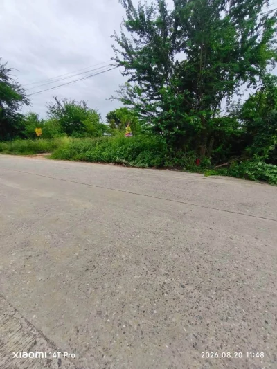 ขายด่วนที่ดิน 215 ตรว ติดถนนสาธารณะ 2 ด้าน ซ.ไอยรา 26,27 คลองหลวง ปทุมธานี